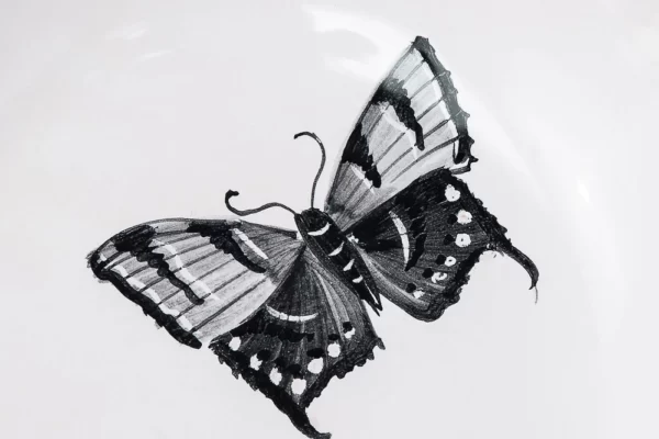Detail of black butterfly